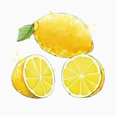 手绘黄色柠檬