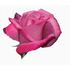 田园风素材田园风图片