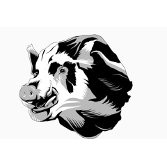 黑白色细腻手绘野猪