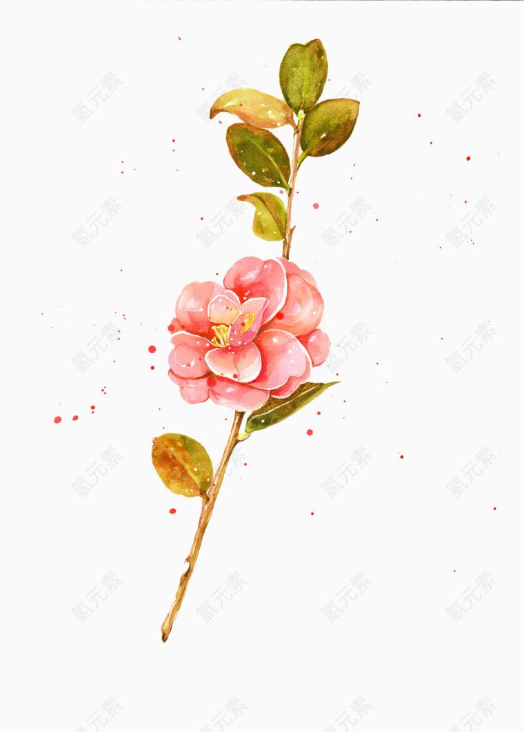 手绘花卉