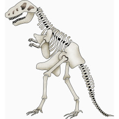 卡通恐龙骨架