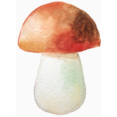 水彩画大蘑菇