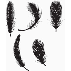 矢量羽毛合集