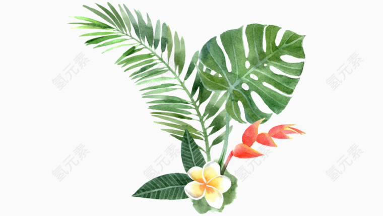 花朵树叶免抠植物