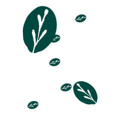 彩绘墨绿卡通绿叶