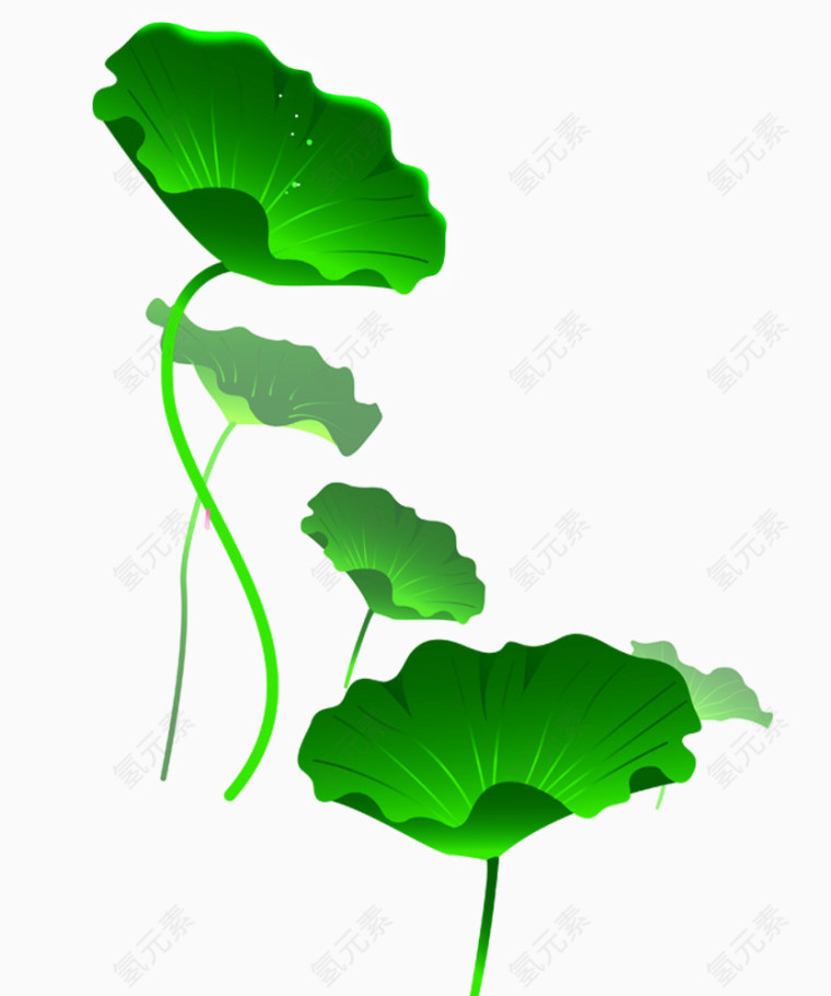 荷叶