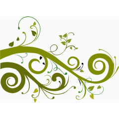 绿色生长的枝条