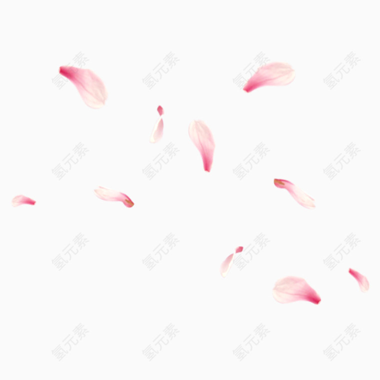 花瓣背景素材