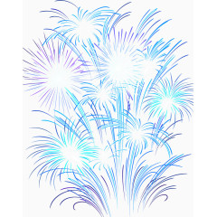 一簇漂亮的蓝紫色礼花