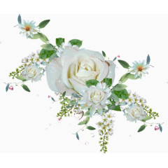 花草插画线描花草