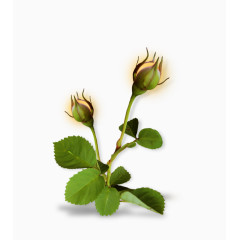 装饰图片卡通装饰图片