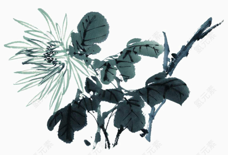 手绘花卉