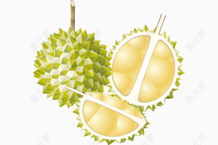 热带水果榴莲