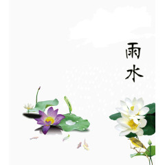 二十四节气的雨水