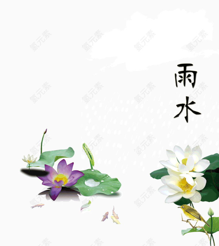 二十四节气的雨水