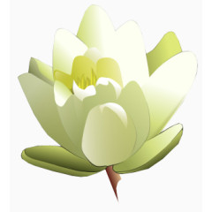 花卉线描花草图案