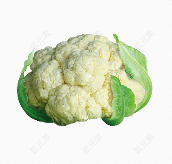 花菜