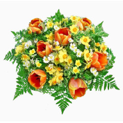 田园风风格卡通