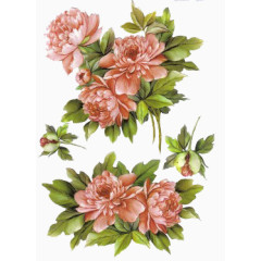 唯美背景图片花卉图案