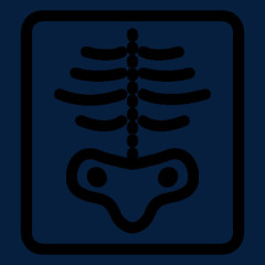 医疗x光图标