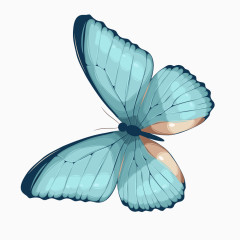 卡通手绘蝴蝶
