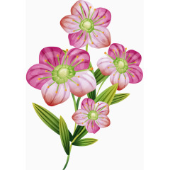 装饰花纹