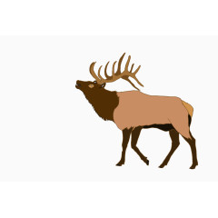 手绘棕色麋鹿