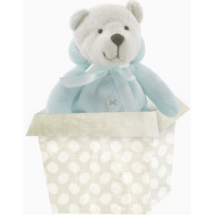 盒子里的可爱玩具熊