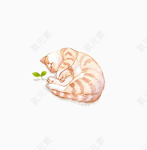 睡觉猫咪