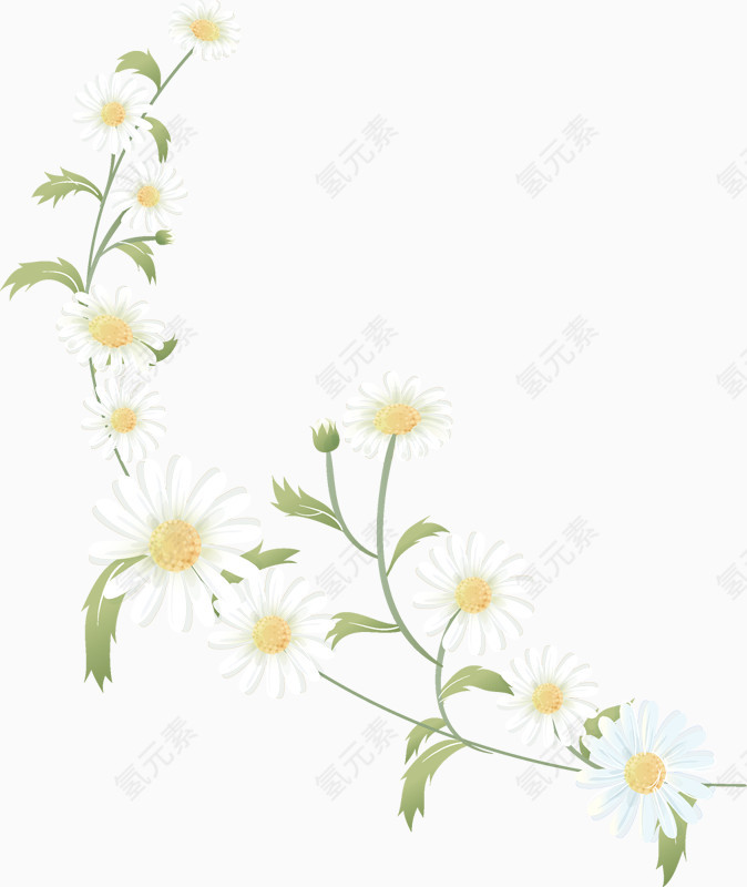 花卉    