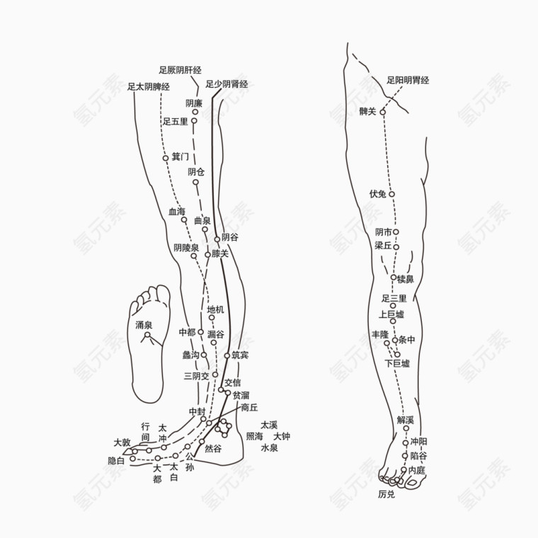 穴位图