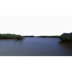 天津七里海湿地风景