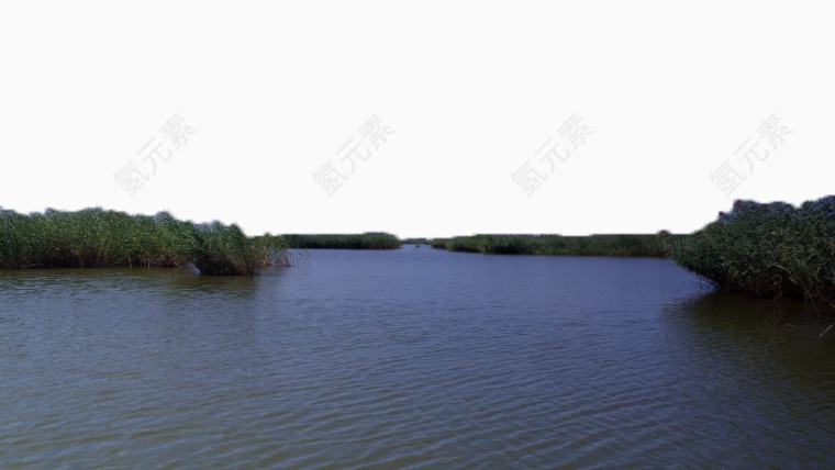 天津七里海湿地风景