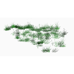 草地植物绿色大自然