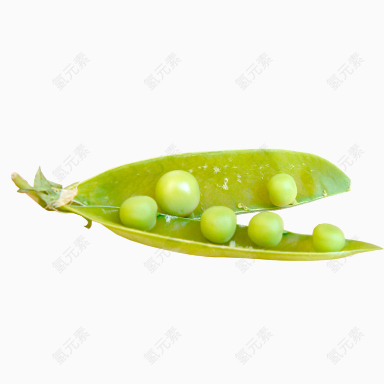 豌豆