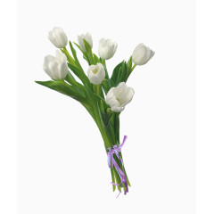 花草线描卡通装饰素材