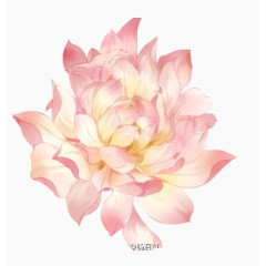 花手绘