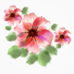 精美的水墨花卉插画 