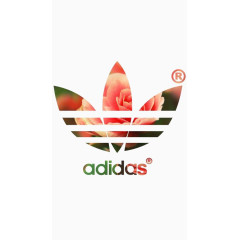 三叶草