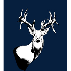 黑白色细腻手绘鹿头