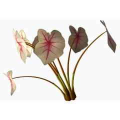 花草图案矢量花草素材