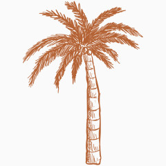 卡通手绘椰子树