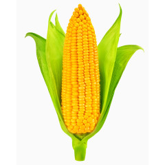 带有绿叶的玉米