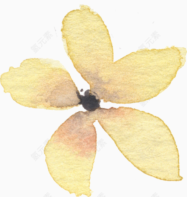 花卉