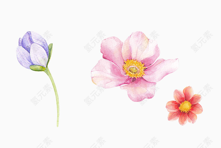 创意水彩手绘花朵