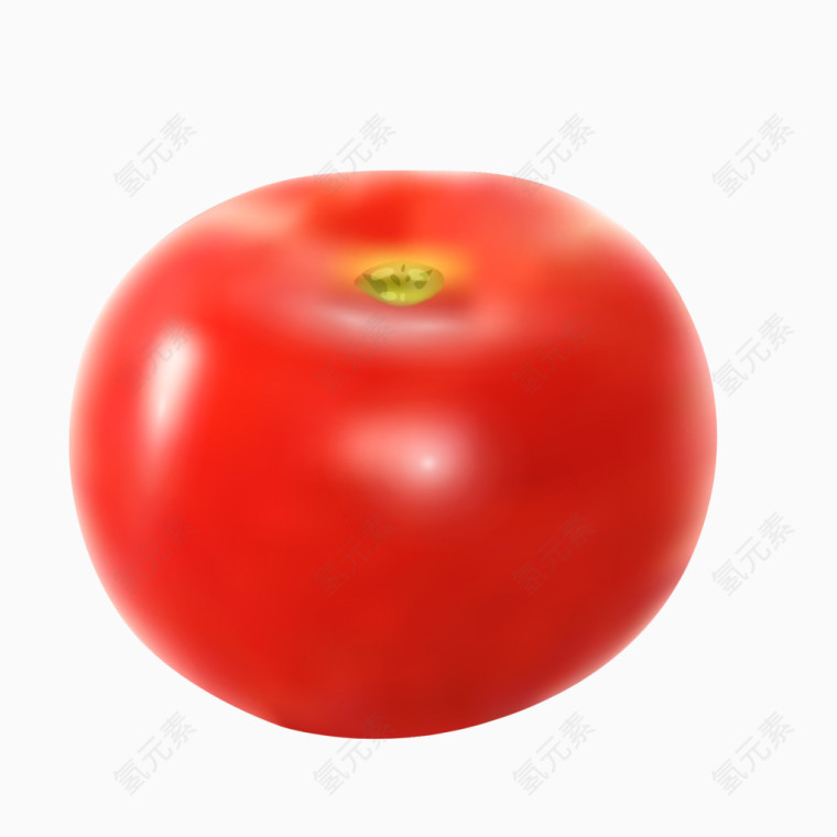 矢量手绘蔬菜