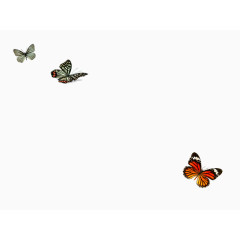 蝴蝶飞舞免扣素材