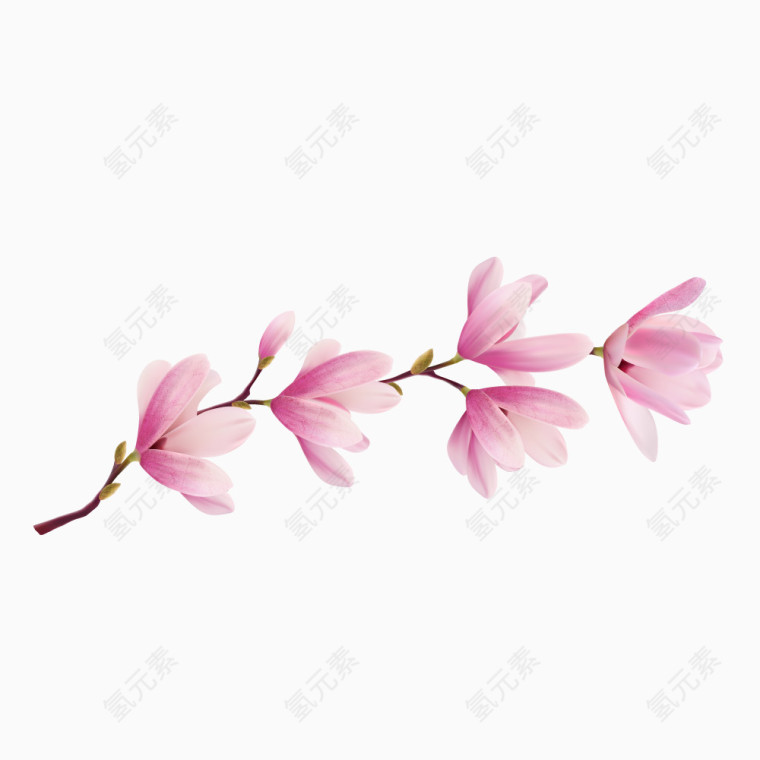 手绘逼真桃花