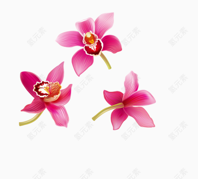 粉红色花瓣