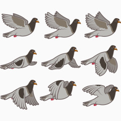 小鸟飞行分解图